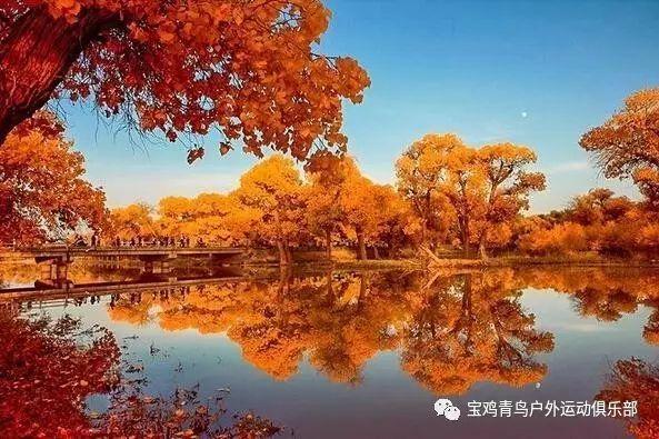 全民烧脑3去广告版